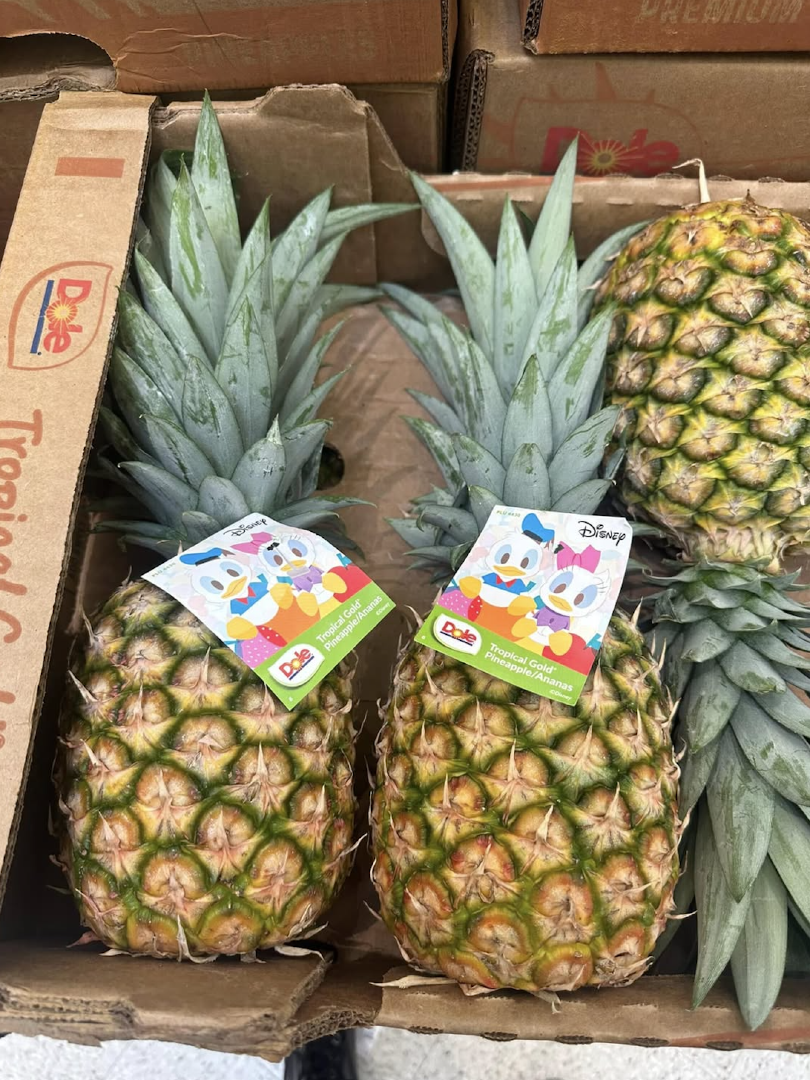 MOST POPULAR DOLE TROPICAL FRESH SWEET WHOLE PINEAPPLE PREMIUM EXPORT GRADE 10KG CARTONS ON SALE