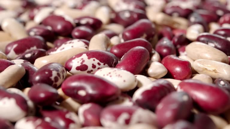 A Comprehensive Guide to Sourcing High-Quality Beans: Top 4 Beans Suppliers in Brazil in Year 2025