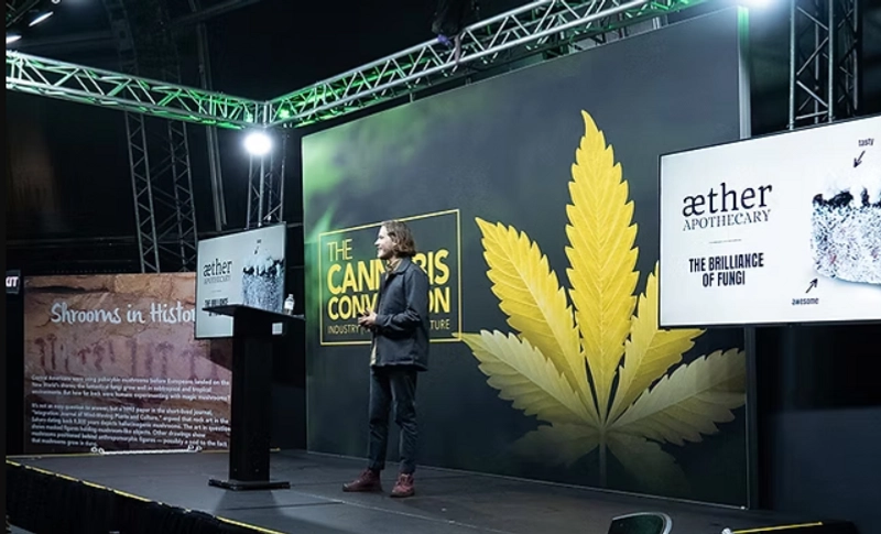 Cannabis Expo Spotlight: B2B Essentials - 3