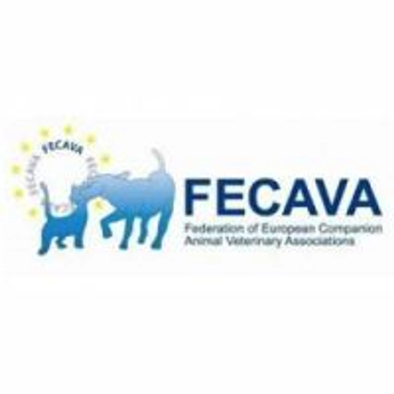Discover FECAVA EUROCONGRESS: B2B Event Guide