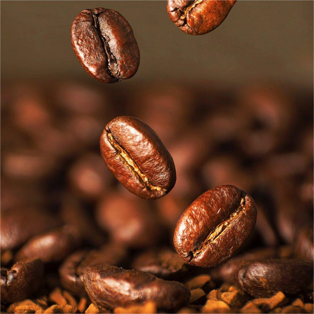 High Quality Brazilian Premium Green Arabica Coffee Beans Arabica Raw Coffee Beans Directly ROBUSTA GREEN COFFEE BEANS