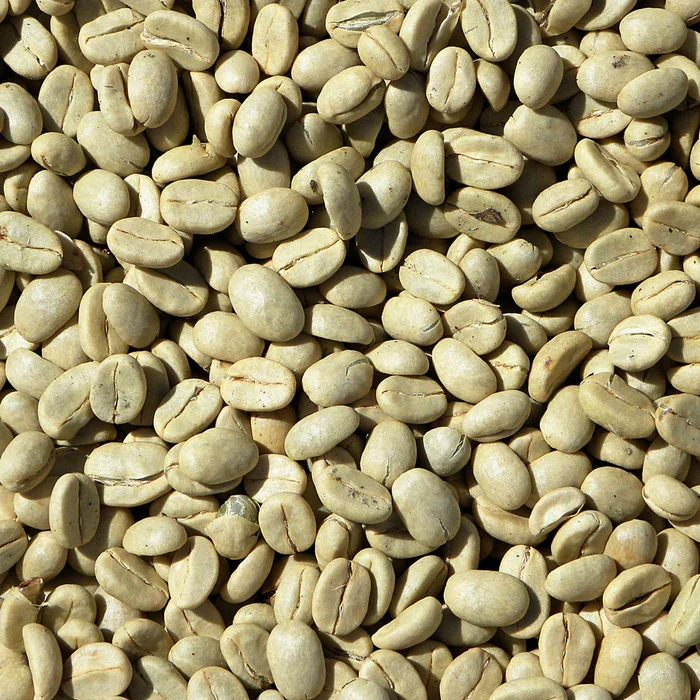Traceability and Sustainability
