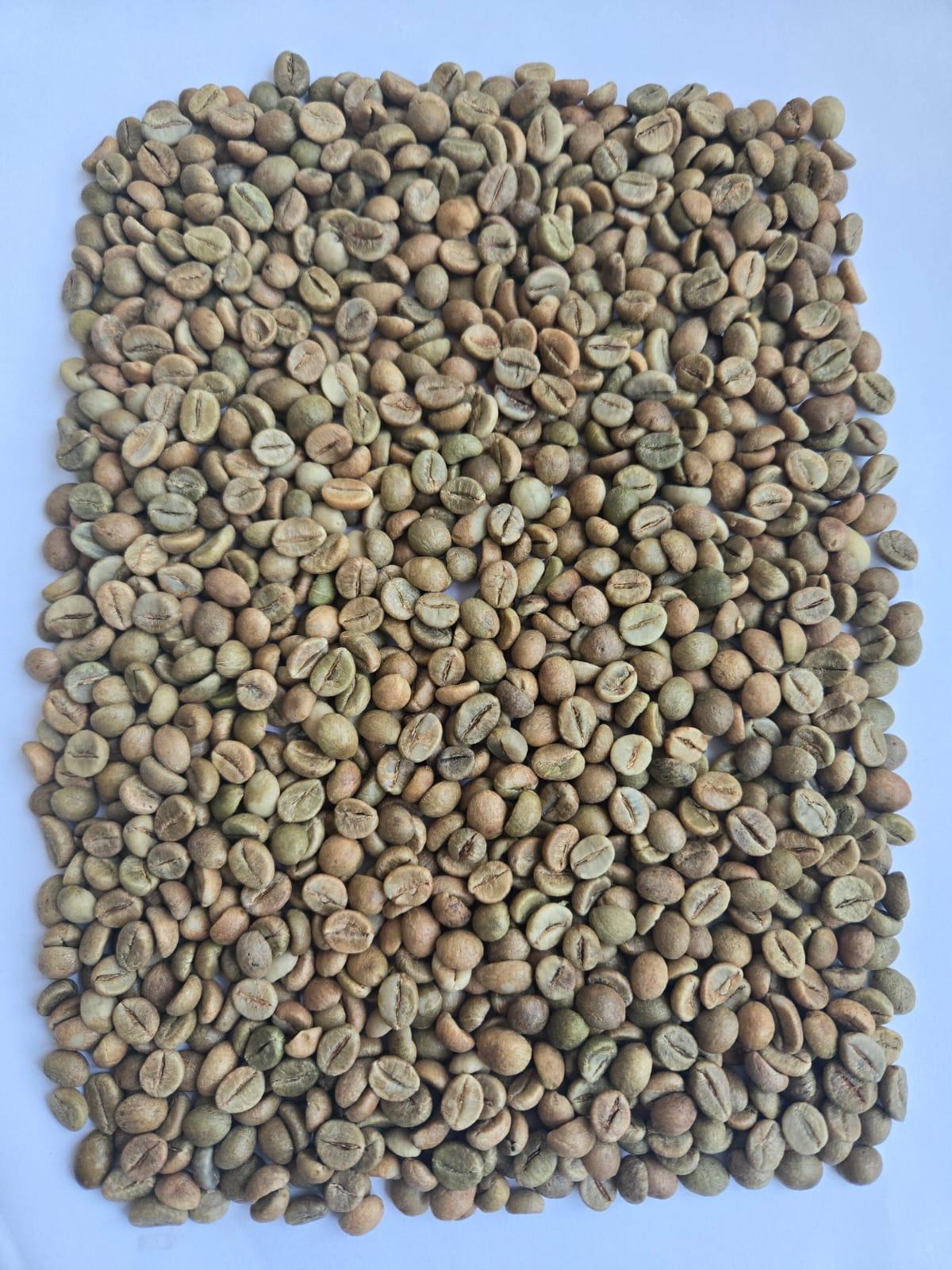 Coffee Beans