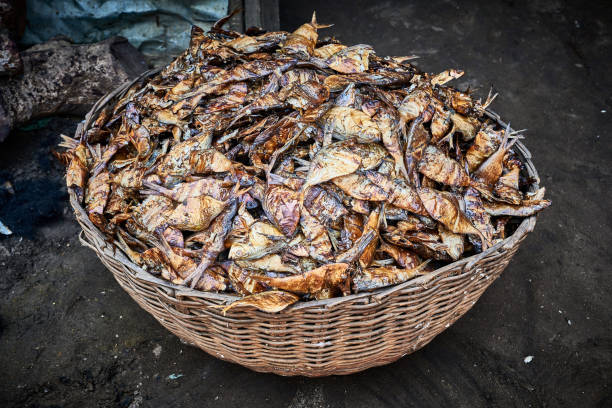 A Comprehensive Guide to Sourcing High-Quality Dried Fish: Top 7 Dried Fish Suppliers in China in July 2025