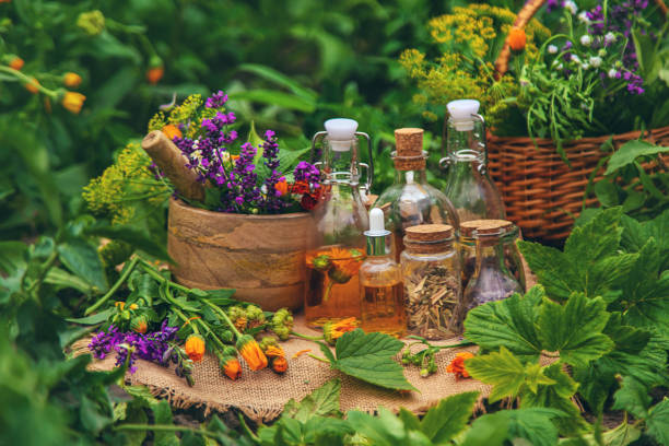 Your Expert Guide to Procuring Top-Tier Herbal Extract: Top 9 Herbal Extract Suppliers in Vietnam in July 2025