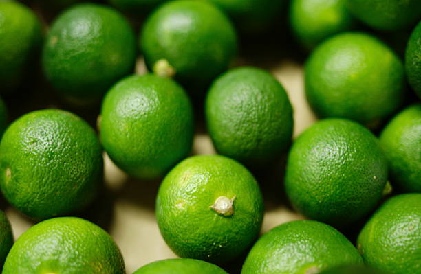 Top 4 Lime Suppliers in China in Year 2025: A Data-Driven Exporter’s Guide