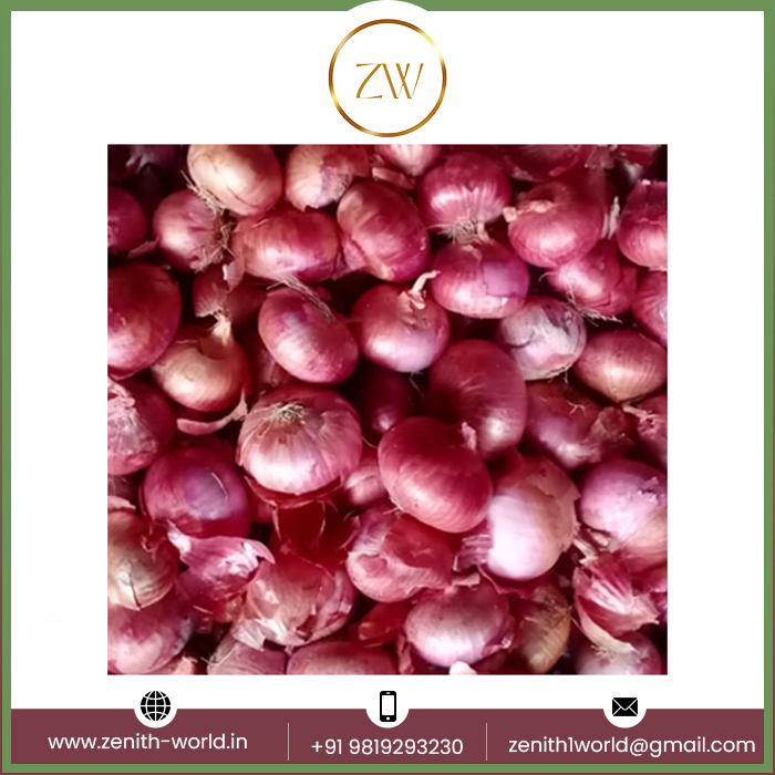 Best Quality Fresh Organic Nutritional And Natural Fresh Red Onion At Wholesale Buy Now at Low Price
