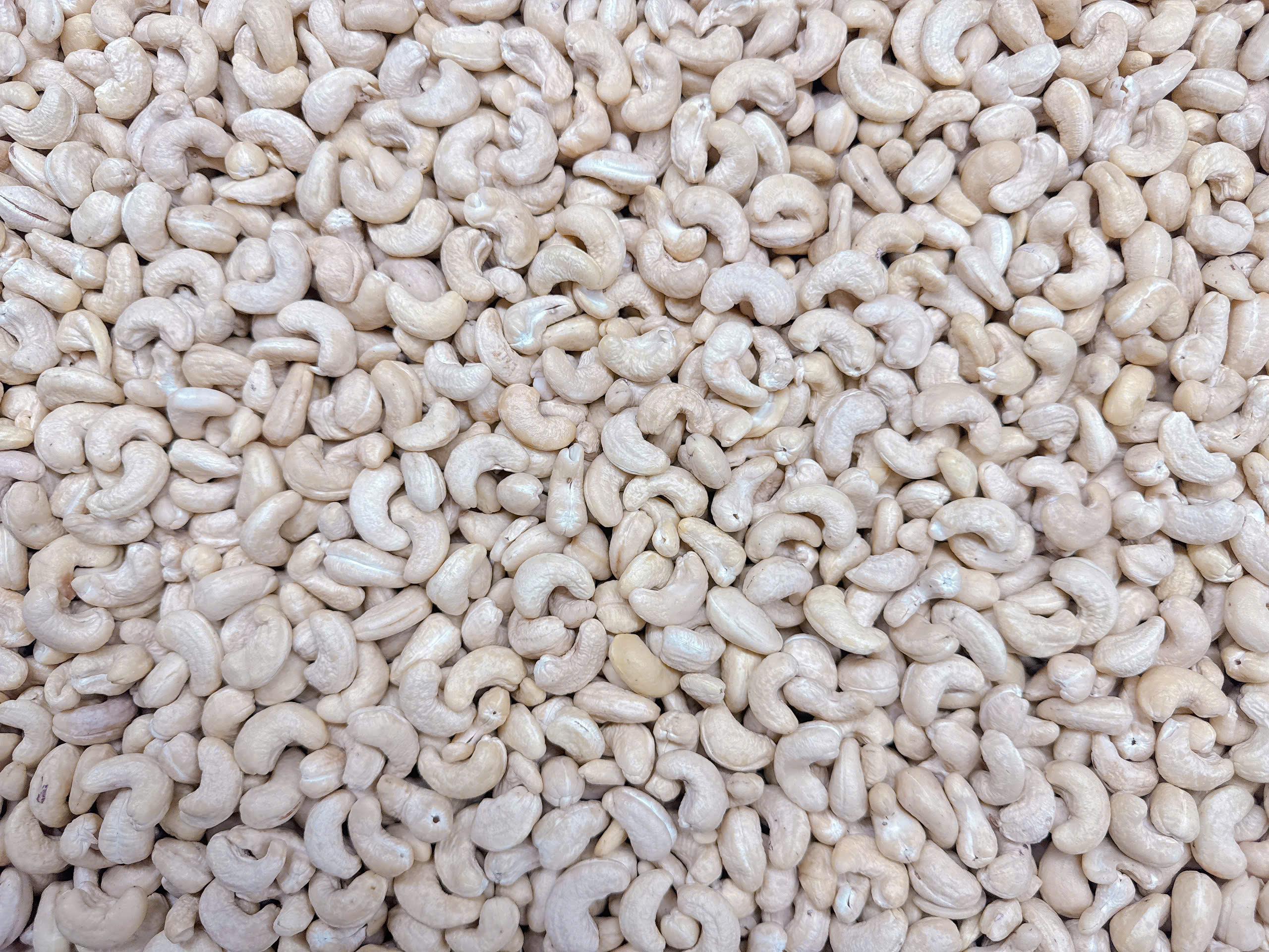Top 8 Cashew Nuts suppliers in Vietnam: Capabilities & Buyer Fit - 1