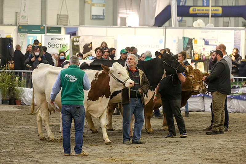 Why Attend Ferme Expo? B2B Intro - 1