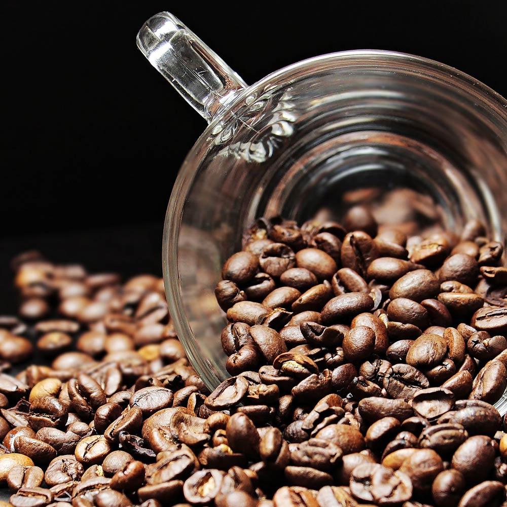 Arabica Coffee Bean Premium Coffee Harvest With Clean Processing Methods And Strong International Buyer