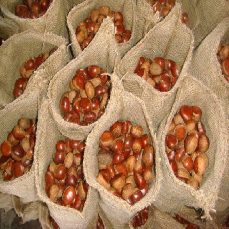 2026 New Crop Chestnut Kernels, Frozen Peeled Chestnuts Wholesale For Bakery & Catering