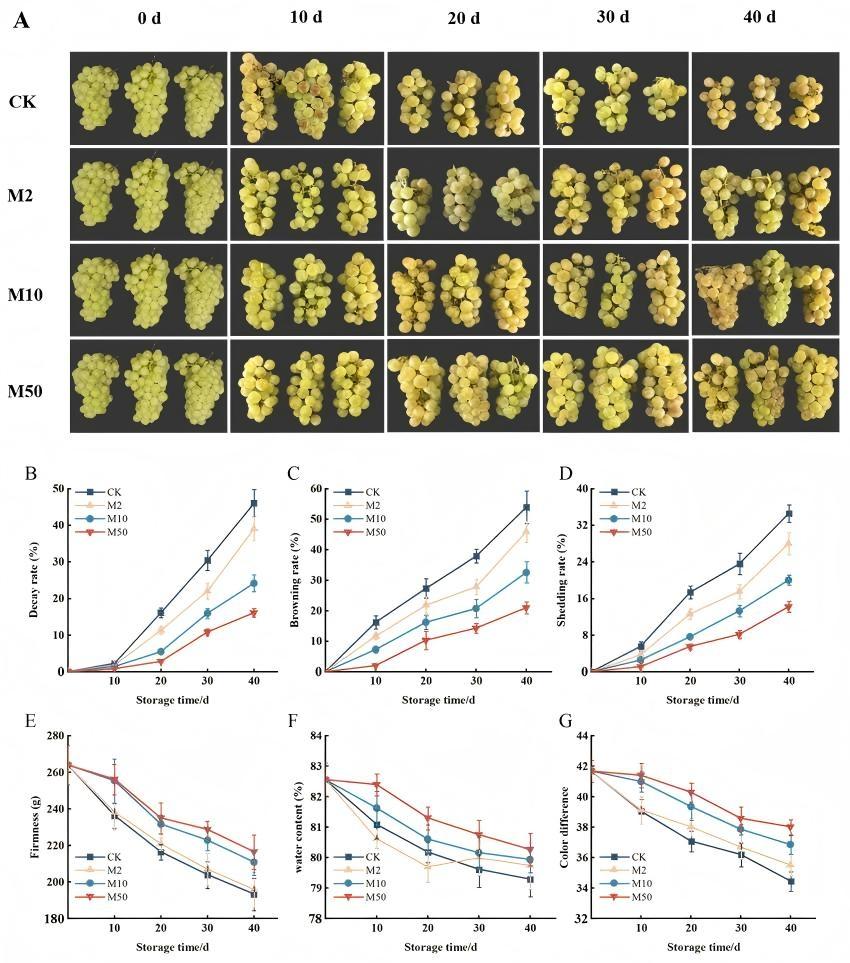 1-MCP Product Image 2