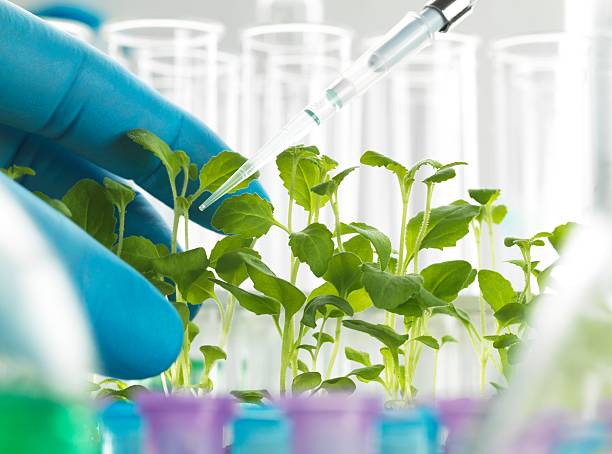Your Expert Guide to Procuring Top-Tier Plants Plant Extracts: Top 4 Plants Plant Extracts Suppliers in Philippines in Year 2025