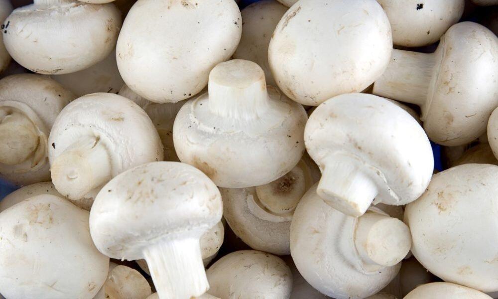 Button Mushrooms