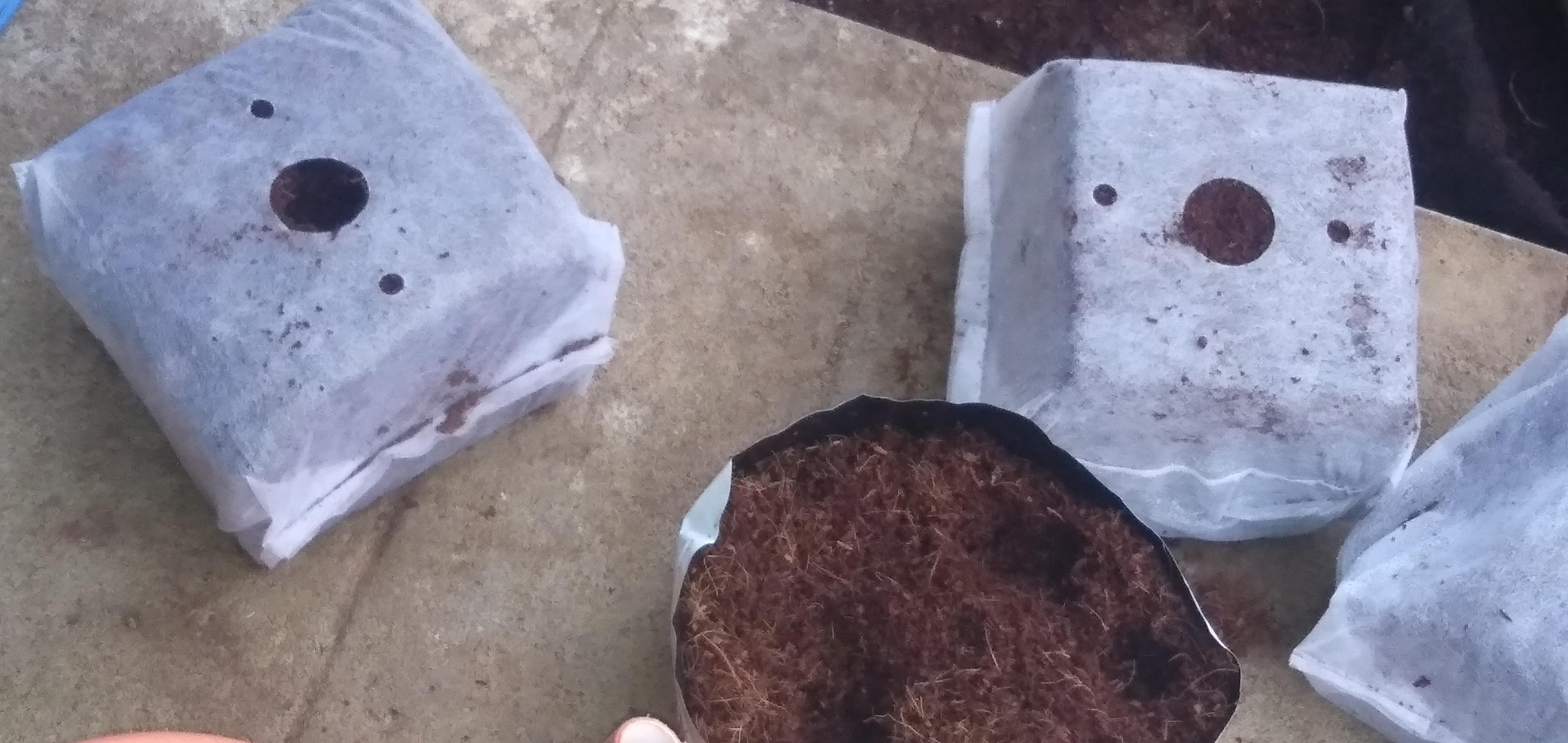 Coco Peat & Coir Pith 15x15x10 cm Messi Qub low EC only