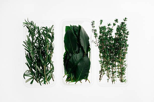 Top 4 Herbs Suppliers in Kenya in Quarter 3 of 2025