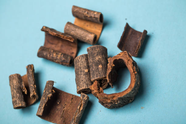 Top 5 Cassia Suppliers in Vietnam in July 2025: Vietnam’s Export Market Unveiled