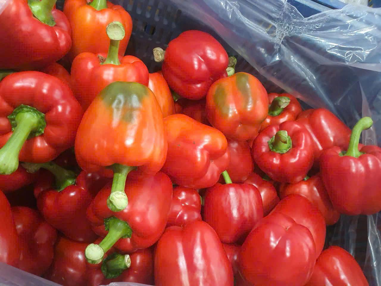 Top 3 Fresh Vegetables suppliers in Vietnam: Capabilities & Buyer Fit - 1
