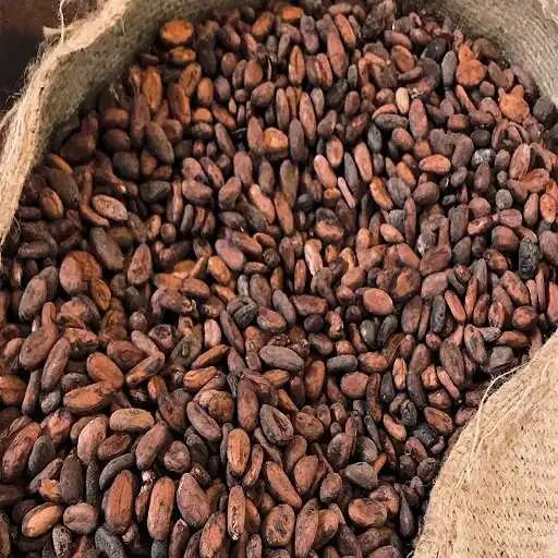 Wholesale Supplier Of Bulk Fresh Stock of Raw Dried Cocoa Beans