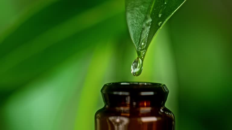 Top 10 Herbal Extract Suppliers in Turkey in Quarter 3 of 2025: Urgent Market Update