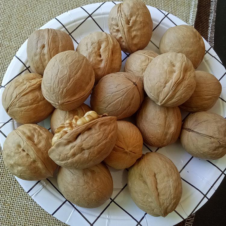 Organic Walnuts Raw Shelled Available for Wholesale