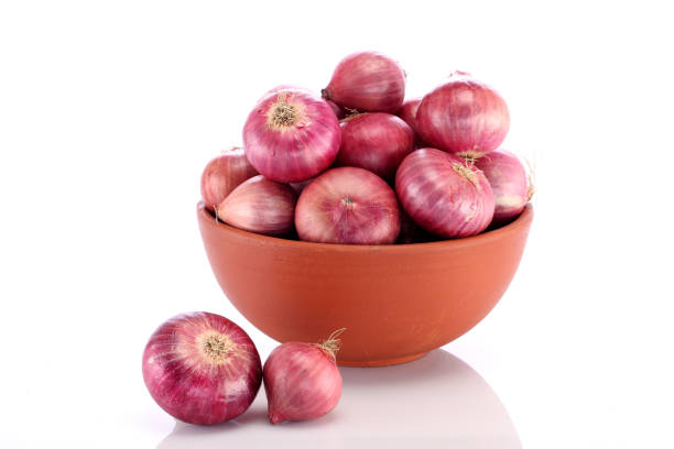 Top 4 Onion Suppliers in Malaysia in June 2025: Navigating a Rapidly Shifting Market
