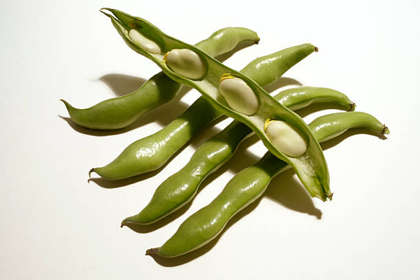 Top 5 Bean Suppliers in Italy in Quarter 3 of 2025