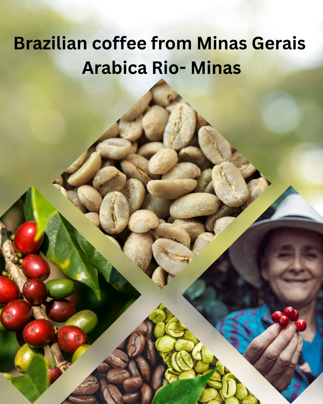 Arabica Rio Minas Green Coffee Beans