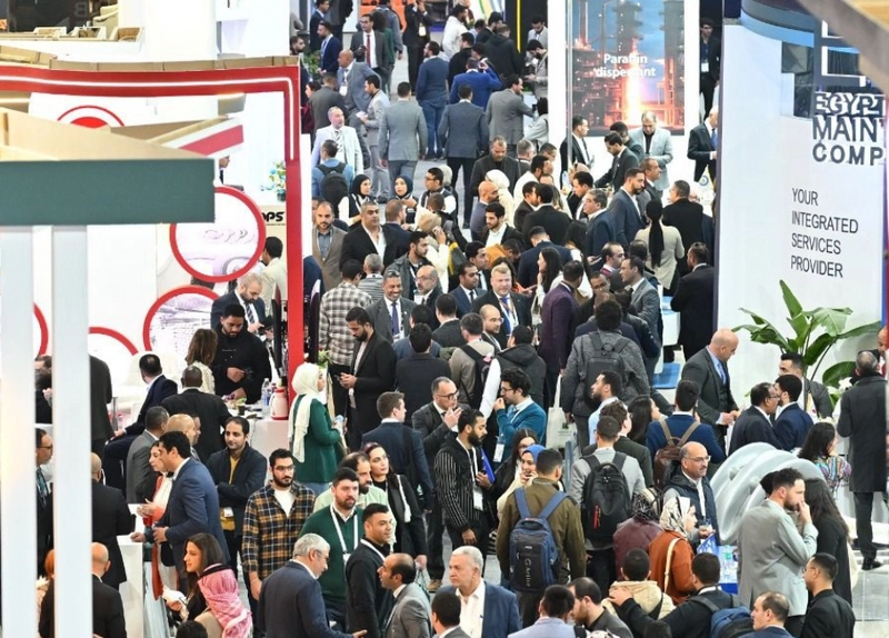 Inside EGYPES - EGYPT ENERGY SHOW: B2B Key Insights - 2