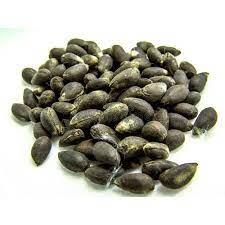 Wholesale cotton seeds Moisture ≤ 12% Impurities ≤ 3% Broken Seeds ≤ 5% Aflatoxin ≤ 5 Ppb Protein 18% – 24% Foreign Matter ≤