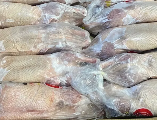 Halal Frozen Duck Breast Meat