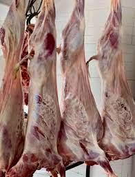 Goat meat Shelf Life 14-21 Packaging packed Temperature Control Chilled Source Verification Verified Sources Processing Standards Strict Export Standards