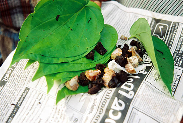 A Comprehensive Guide to Sourcing High-Quality Betel Nut: Top 9 Betel Nut Suppliers in India in Quarter 3 of 2025