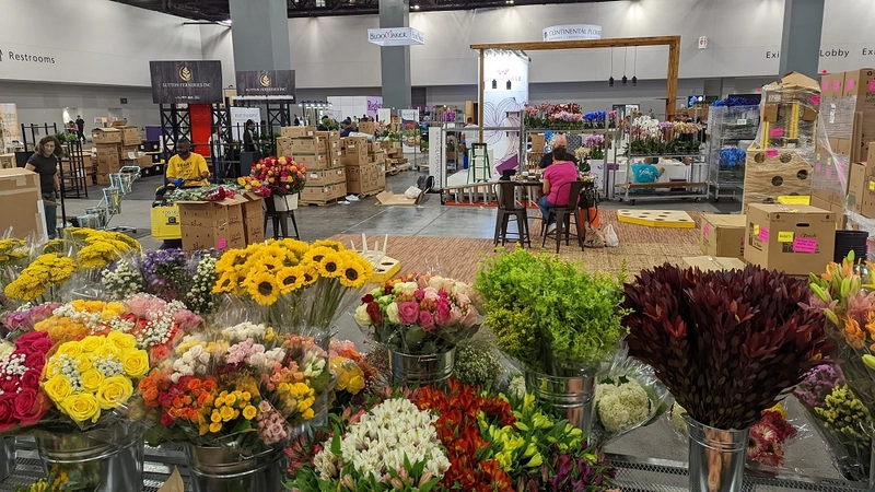 Why Floriexpo Matters for B2B - 3