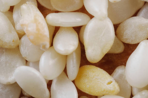 A Comprehensive Guide to Sourcing High-Quality Sesame Seeds: Top 6 Sesame Seeds Suppliers in Netherlands in Year 2025