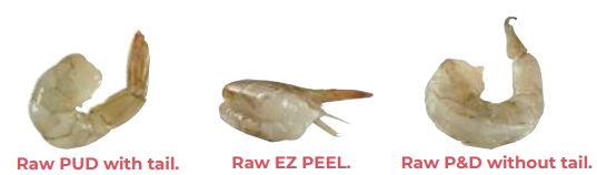 CAMPEEC Vannamei Shrimp