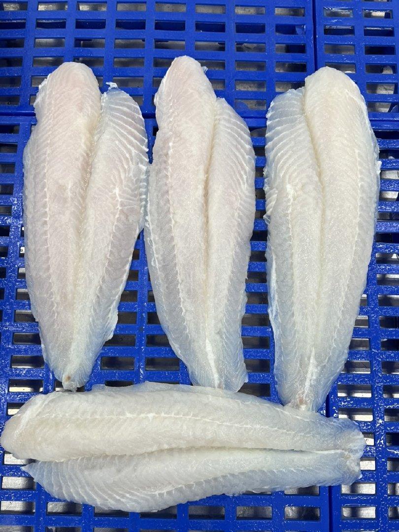 Frozen Pangasius Fillet