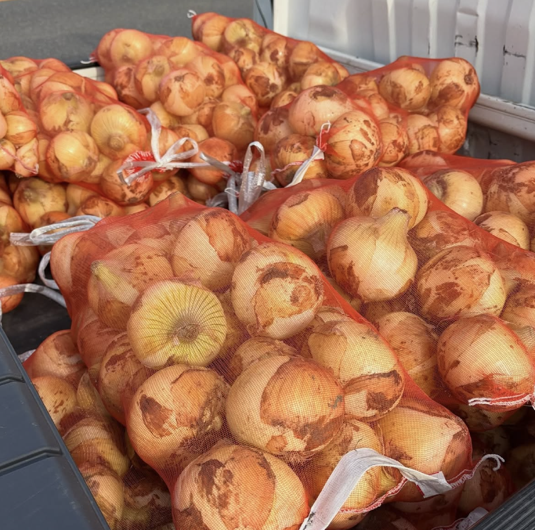 Export Grade Quality Fresh Harvest Premium Fresh Yellow Onions 80mm Export 10Kg,60kg Bags On Sale – product thumbnail, market insight supplier card
