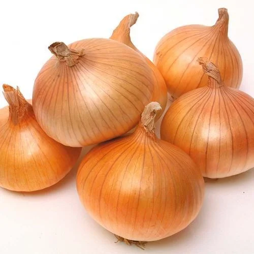 Top 3 Fresh Onion suppliers in Thailand — 3 Capabilities Reviewed - 1