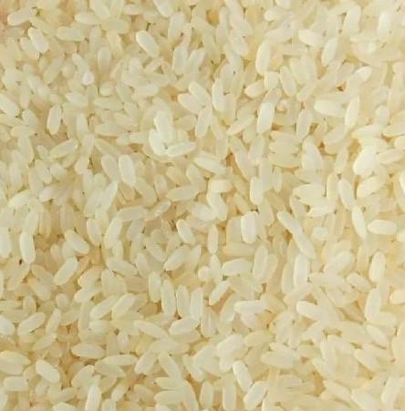 Top 6 verified Rice suppliers in India Worth Knowing - 2