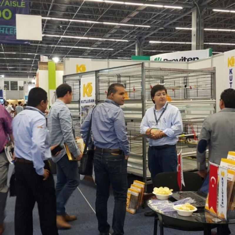FIGAP Mexico Spotlight: B2B Essentials - 1