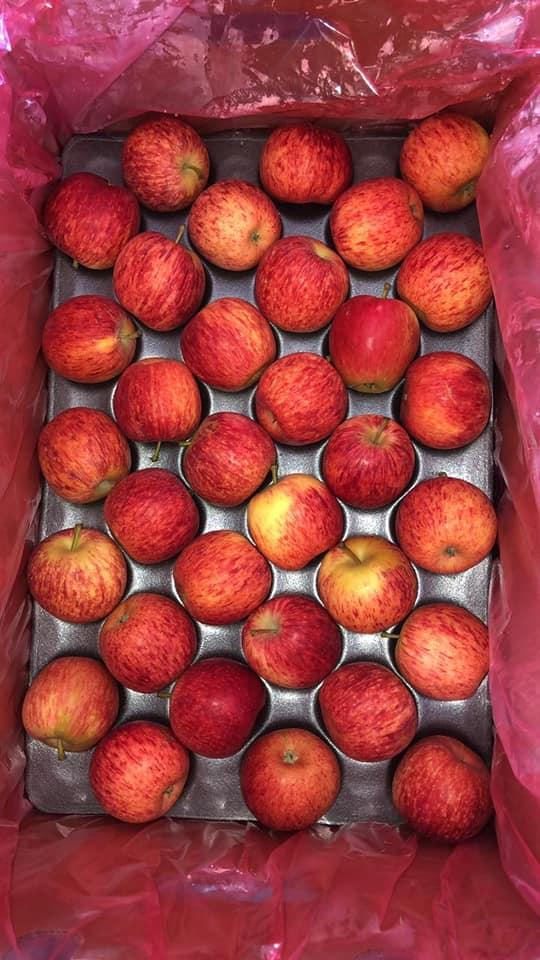 Packaged Apples