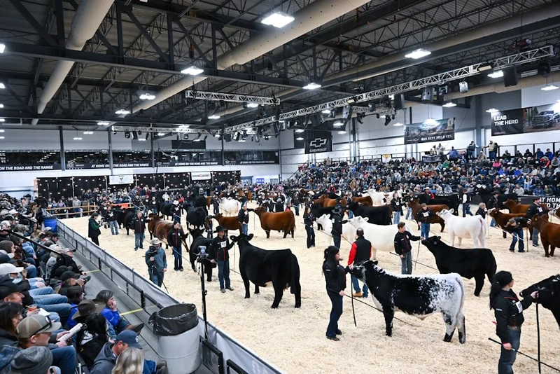 Discover Canadian Western Agribition: B2B Event Guide - 3
