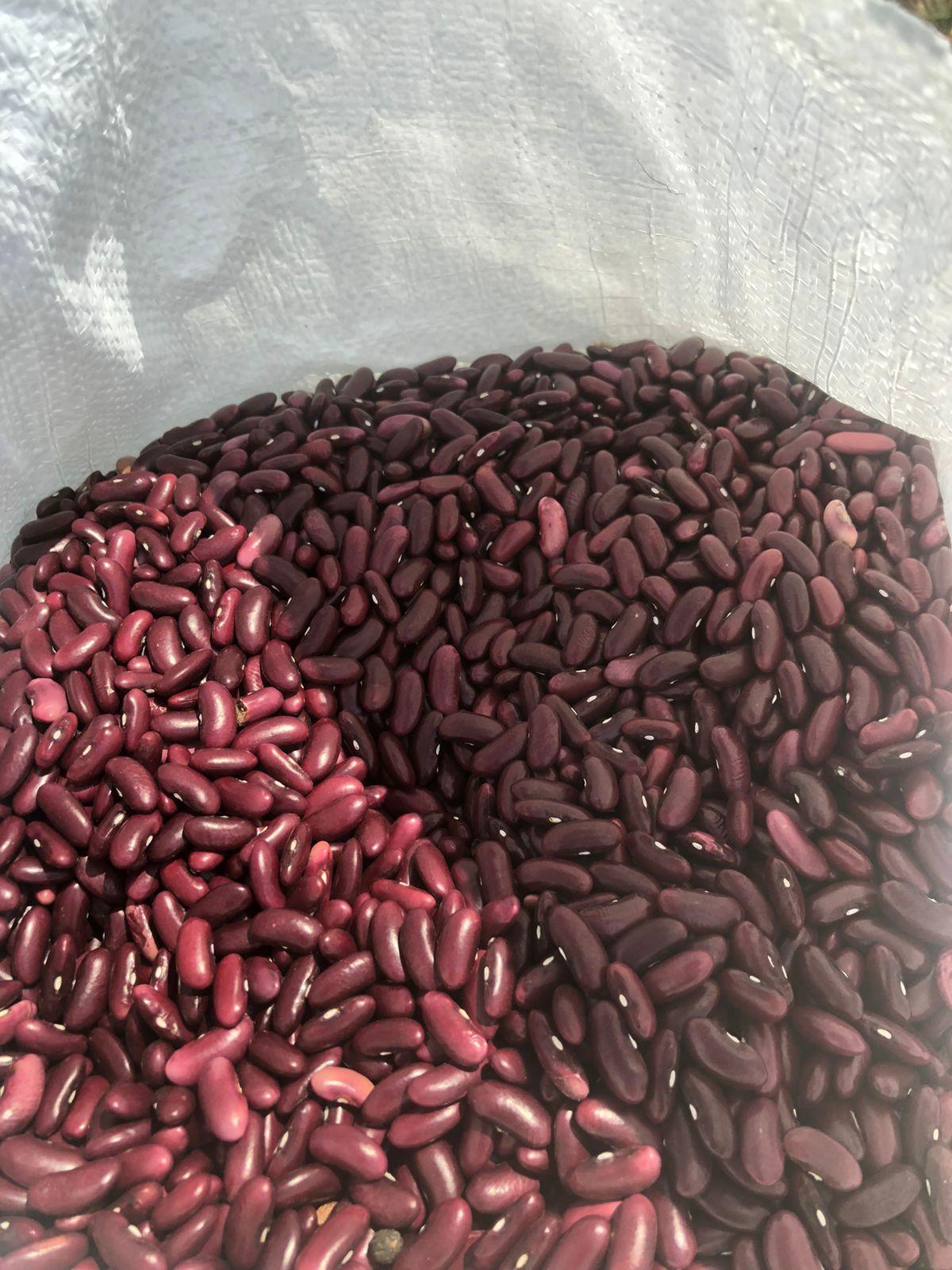 Meet the Top 3 Kidney Beans suppliers in Indonesia