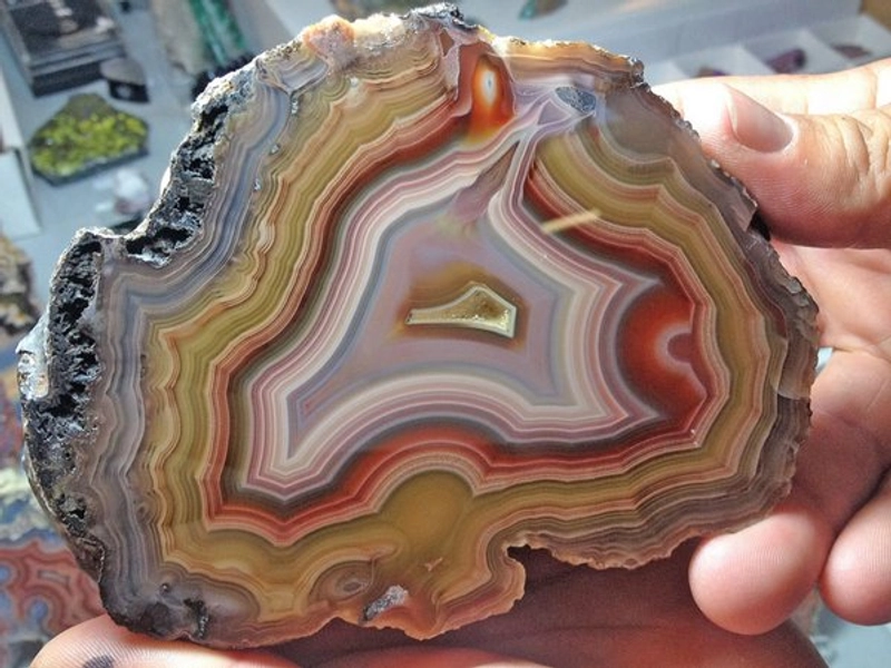 Discover INTERNATIONALE MINERALIEN UND FOSSILLIEN SCHMUCK: B2B Event Guide