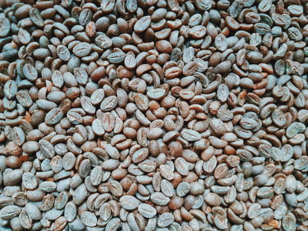 Top 7 Arabica Coffee Suppliers in Kenya in Year 2025: Market Trends & Verified Exporters