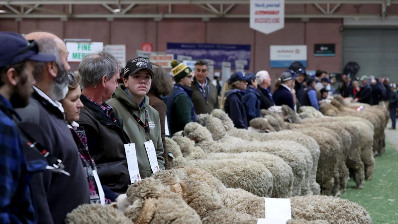 Australian Sheep & Wool Show Revealed: B2B Opportunity - 3