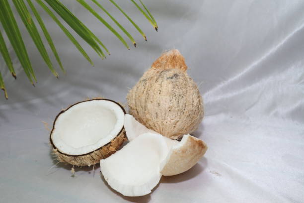A Comprehensive Guide to Sourcing High-Quality Coconut: Top 7 Coconut Suppliers in China in Week 19 of 2025