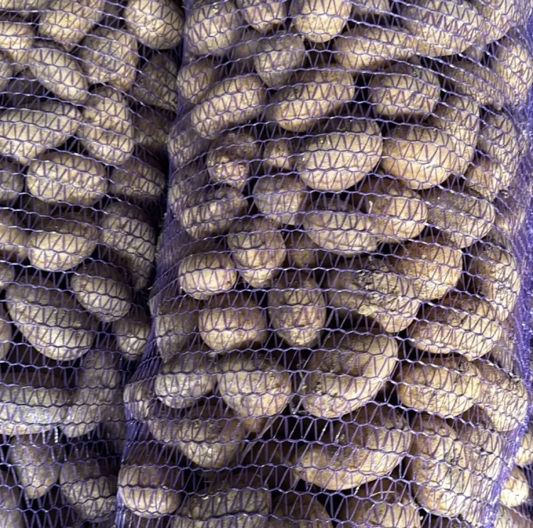 Ready for Global Markets Russet Burbank, Russet Norkotah Potatoes Carefully Harvested Packed in 10kg & 20kg Mesh Bags