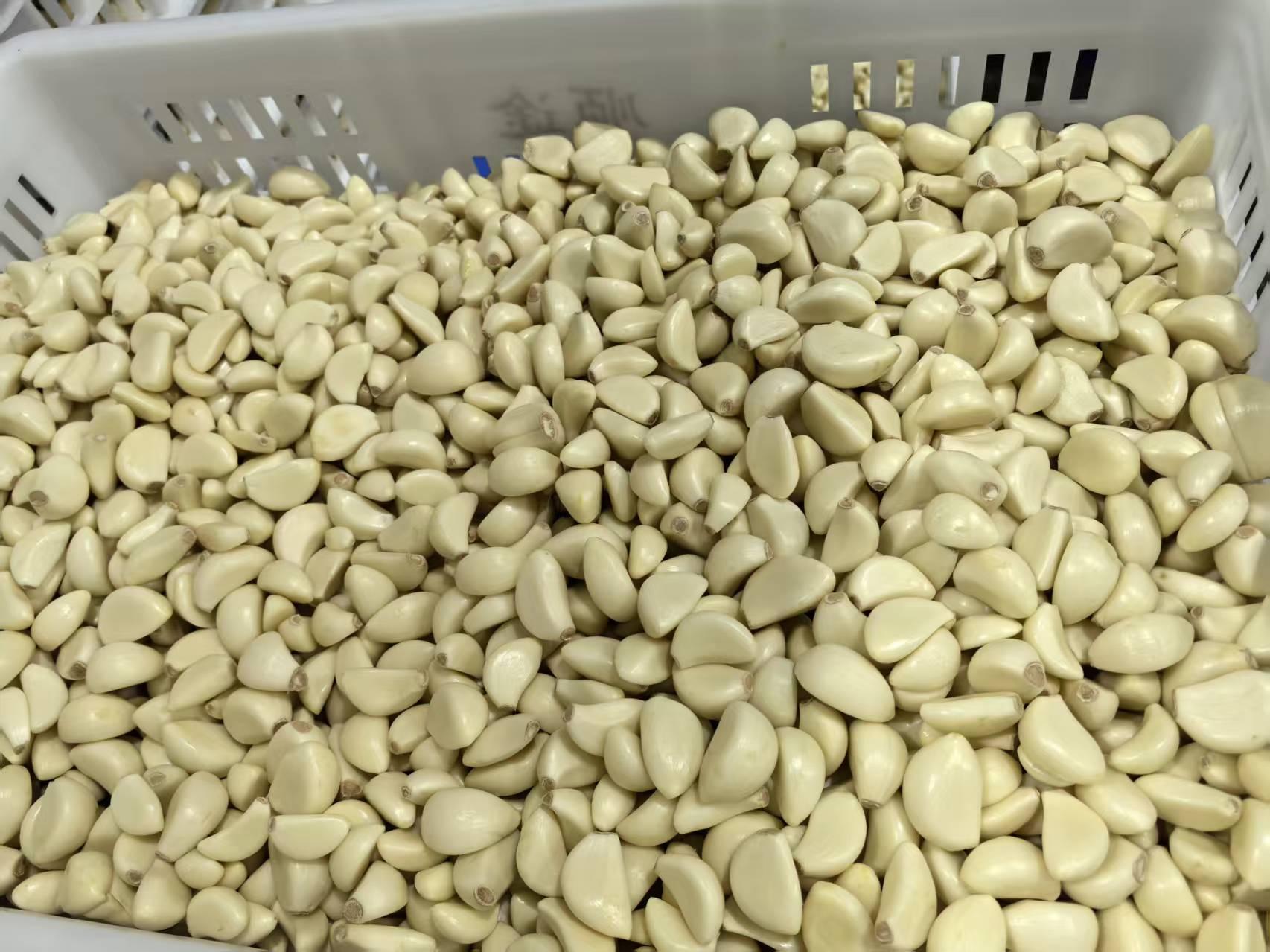 Peeled garlic